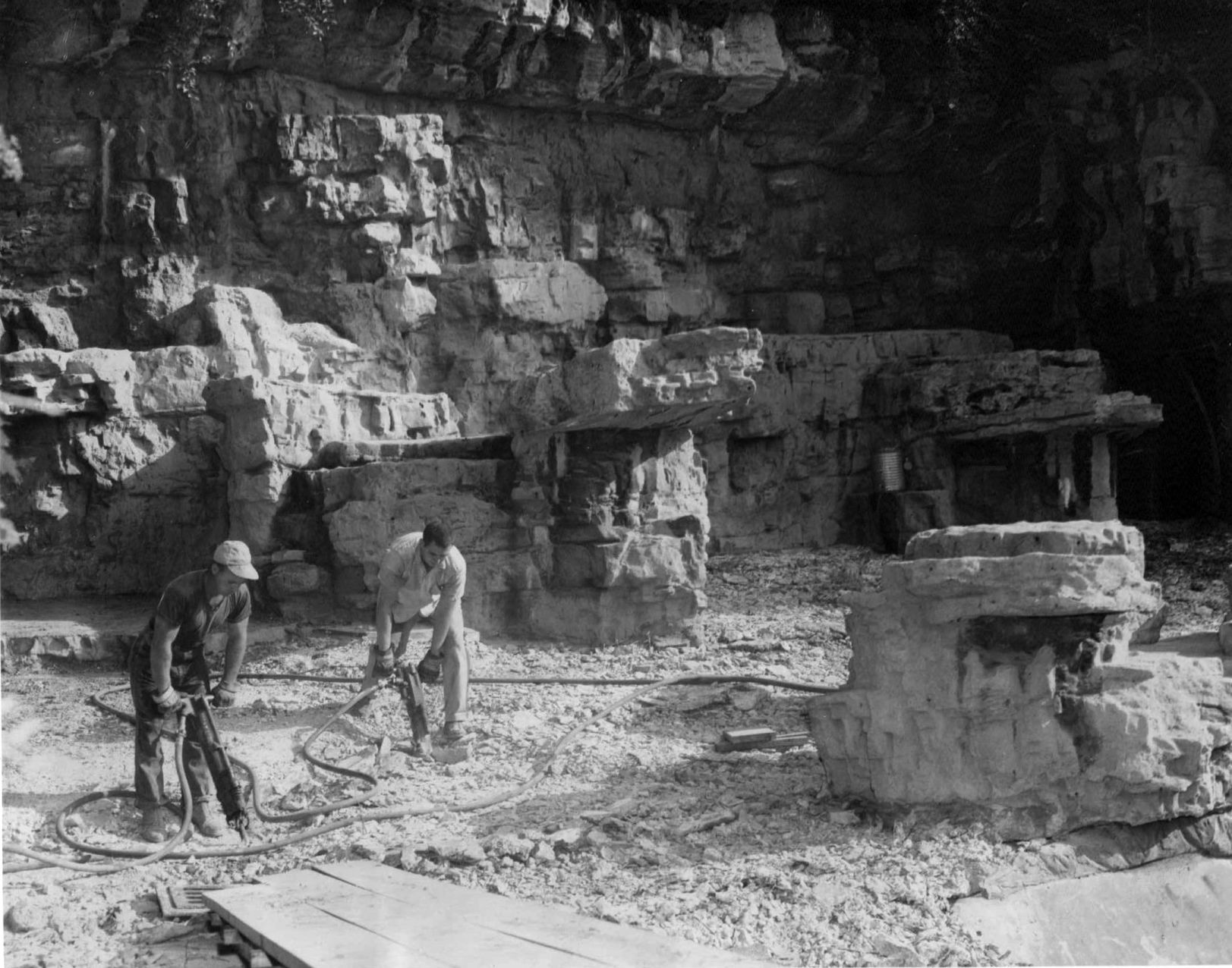 Bears at the St. Louis Zoo in 1962